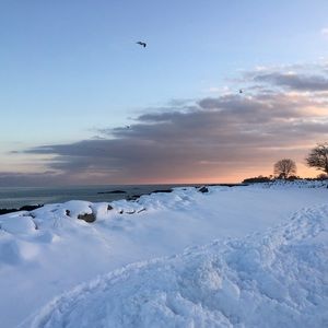 Meet your Posher, Celia